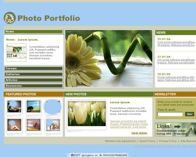融合創(chuàng)新與科技 如何通過創(chuàng)意網(wǎng)頁設(shè)計(jì)賦能科技咨詢服務(wù)