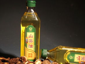 食用油選擇指南 從標(biāo)簽到搭配，科學(xué)選油更健康