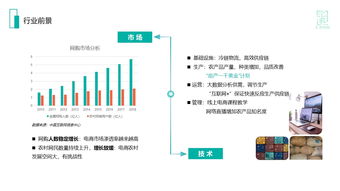 打通農村商品上下行 農村電商項目商業計劃書范文解析與案例分享